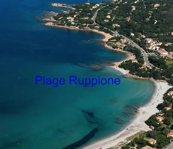 Vue Panoramique 50m Corse Apartment